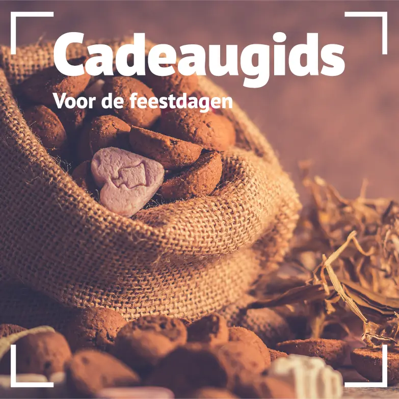 Cadeaugids voor de feestdagen